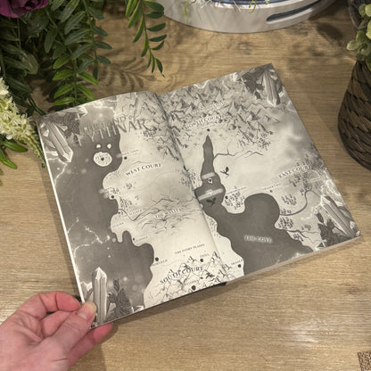 *Preorder* After The Fury (Book Four) Paperback Black & White Interior